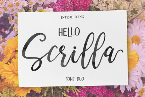 Hello Scrilla Script Font: A Designer’s Review