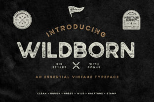 Wildborn Font: A Vintage Sans Serif for Editorial Design