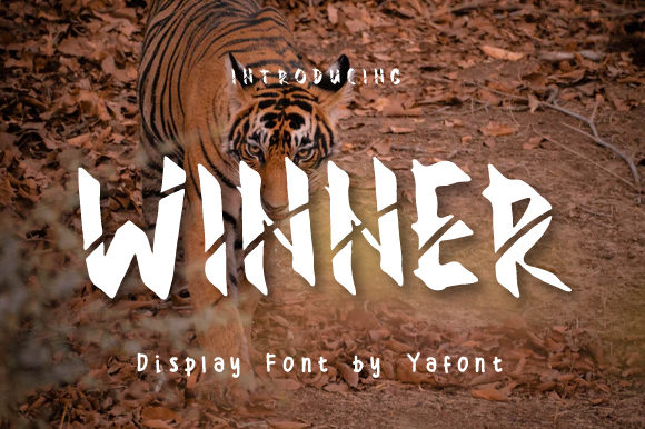 Winner Typeface Review: Bold Display Font for Standout Shop Branding